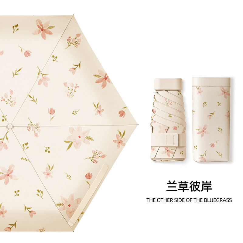 Avelune umbrella - Orchid (彼岸兰花)
