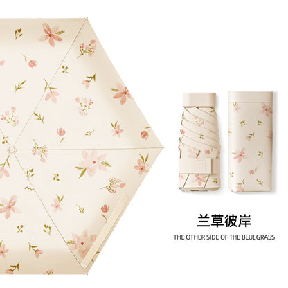 Avelune umbrella - Orchid (彼岸兰花)